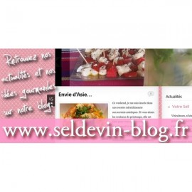 Le Blog Seldevin